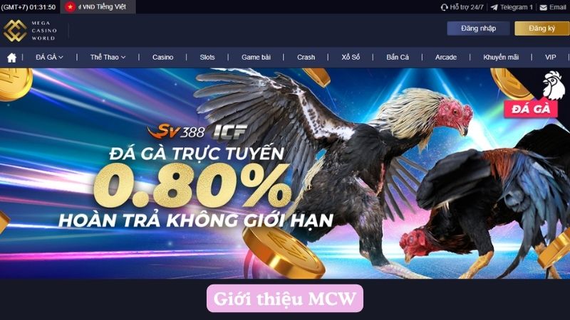 MCW - Nền Tảng Trực Tiếp Đá Gà Hot Nhất 2024